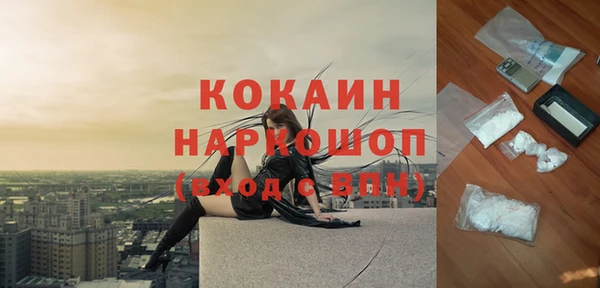 ешки Алексин