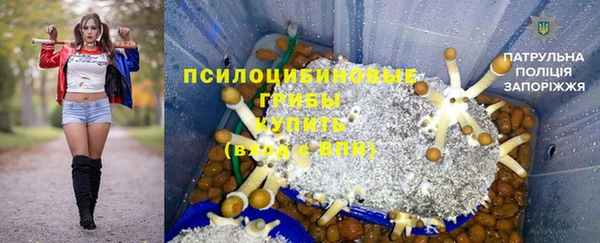 ешки Алексеевка
