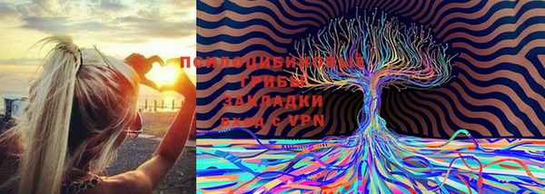 ешки Алексеевка