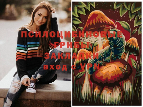 Альфа ПВП Алзамай