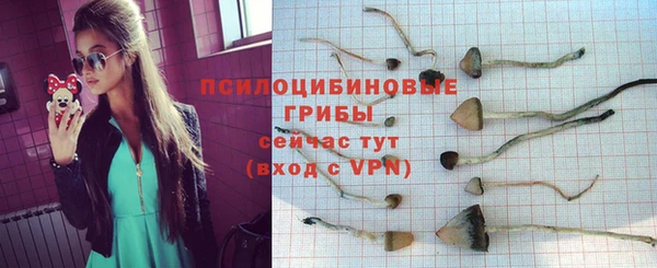Альфа ПВП Алзамай
