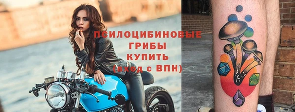 ешки Алексеевка